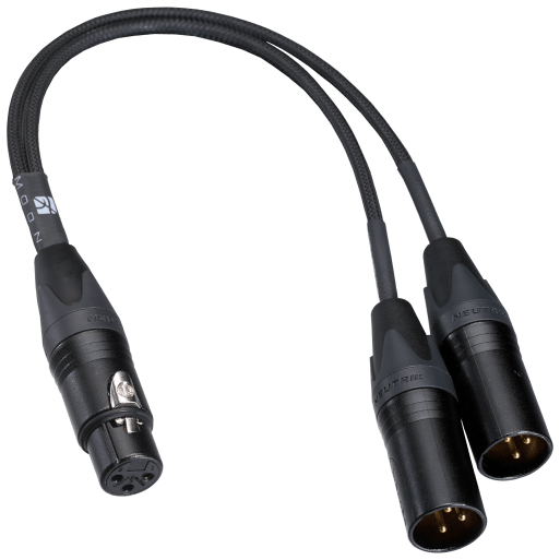 Moon XLR bridge